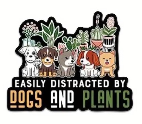 Leicht abgelenkt von hunden - abgelenkt, &