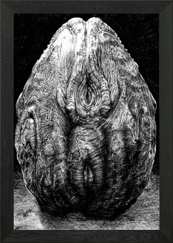 Alien egg stage skizze - alien, 4