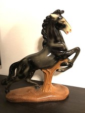 Wunderschönes 🥰 großes