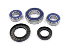 Radlager Satz 25-1393 hinten