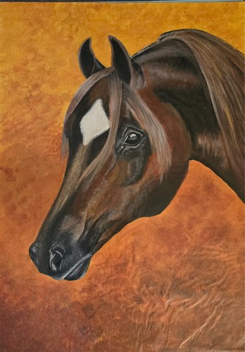 Arabisches vollblut acryl auf - acryl,
