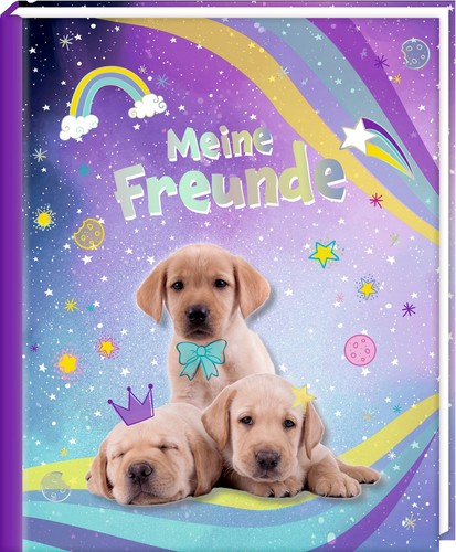 Freundebuch meine freunde - –,