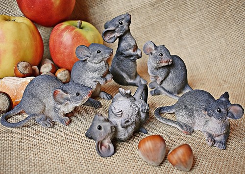 Mäuse natürlich grau - ❀,