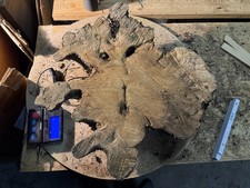 Olivenholz Wurzelholz