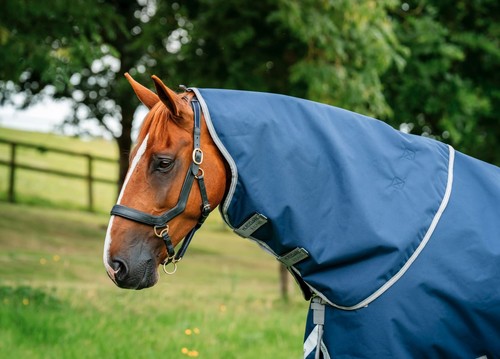 Horseware amigo bravo12 - horseware, 1200d