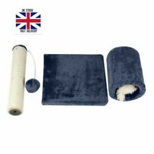 Katze Kätzchen Sisal