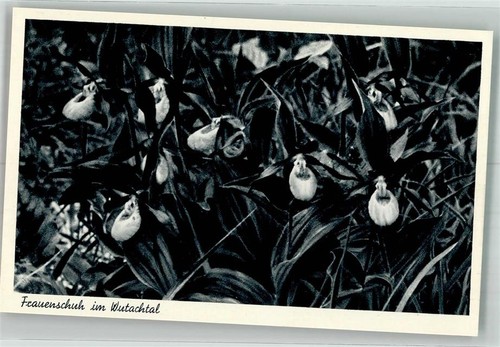 39939122 7712 fuetzen blumen - 39939122,