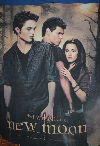 The twilight saga neumond - saga:,
