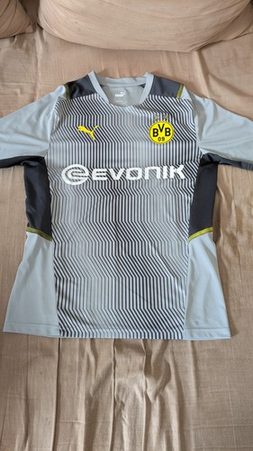 Bvb borussia dortmund - borussia,