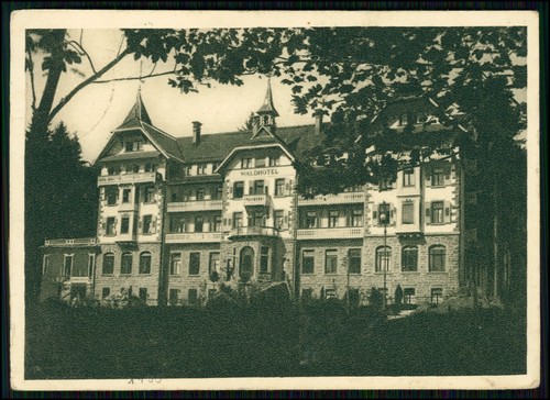 Waldhotel villingen im - waldhotel,