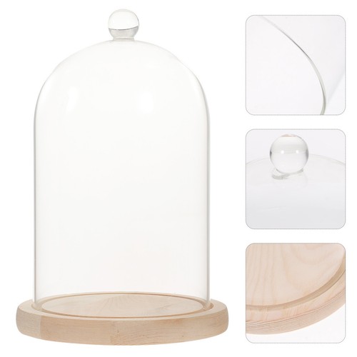 Glaskuppel mit sockel - glaskuppel,
