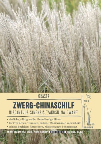 Miscanthus sinensis yakushima - miscanthus,