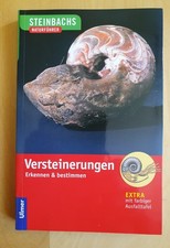 Buch: Versteinerungen -