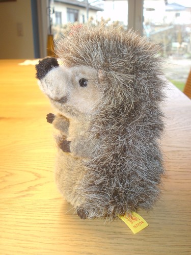 Steiff igel 1677 - steiff, 1677/14