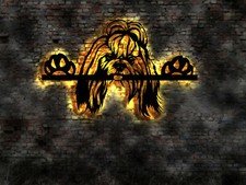 Led wandbild hund - 3d,