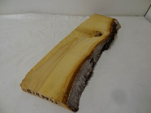 Birke birkenholz holz edelholz - birke,