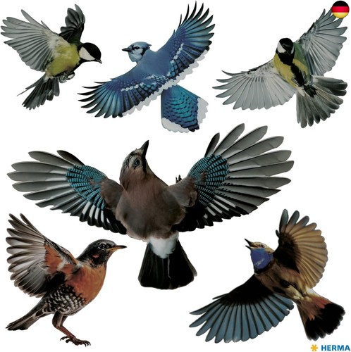 Herma warnvögel vogel - warnvögel,