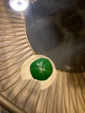 Pumuckl Schirm für Regenkobold sehr alte Version lesen