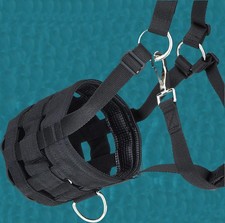 ⭐ Kerbl Pferd Maulkorb