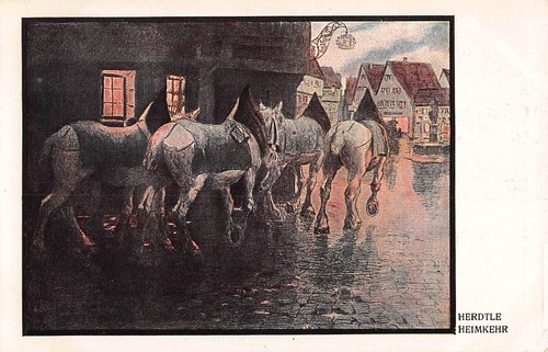 Tiere weiße kutschpferde - kutschpferde, auf