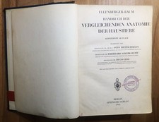 Handbuch der vergleichenden Anatomie der Haustiere. Ellenberger, Wilhelm, Herman