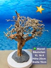 🌳Aquarium Wurzel Bonsai