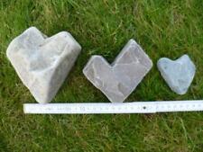 Strandsteine,Versteinerungen, Rügen,Lochstein,Seeigel,Fossilien,Strandfunde