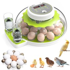 CISSIYOG Brutautomat