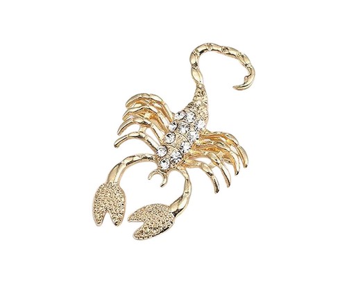 Schmuck brosche sternzeichen - schmuck,