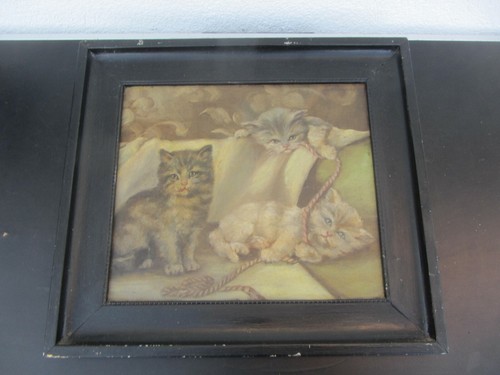 Altes bild junge - bild, katzen
