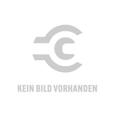 Riegler Kapselfedermanometer G