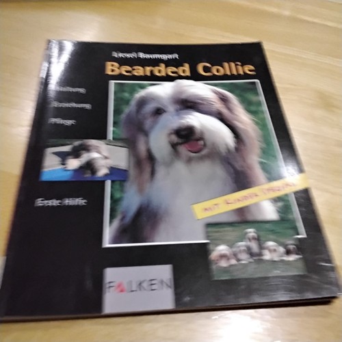 Bearded collie liesel - collie,,
