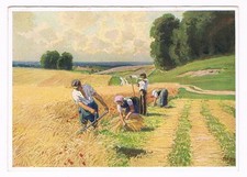 Künstlerkarte sign. Paul Hey, Der Kornschnitt, A 6075; Ackermanns Kunstverlag.