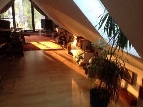 Velux dachfenster oberlicht - velux, dachfenster/oberlicht