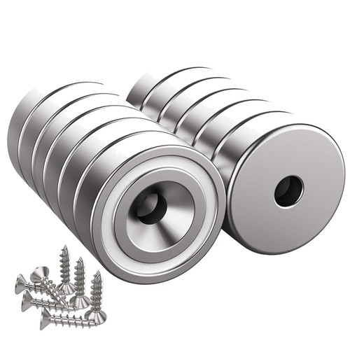 Pack neodymium magnet - 12,