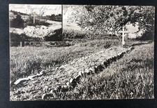AK  1. Weltkrieg Massengräber