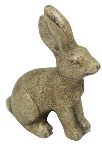 Kleiner hase kanti - hase, aus