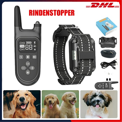 Ferntrainer erziehungshalsband - ferntrainer,