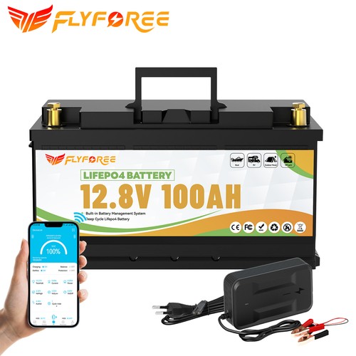 12v 100ah lithium batterie - 12v,
