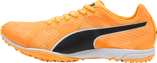 Puma evospeed haraka cross - puma,