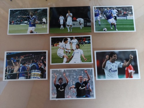 Schalke senior raul - -,