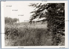 Völkershausen 1968 -