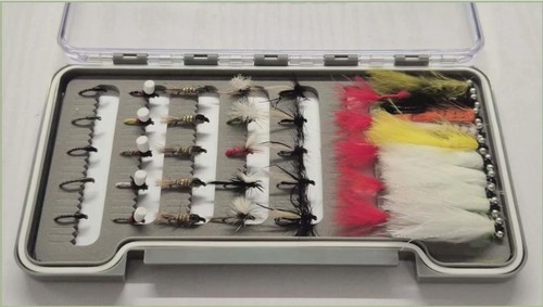 Barbless box the month - the,