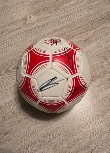 Bayern münchen fußball - fc,