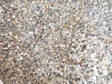 (EUR 5,99/kg) 1kg Muschelgrit