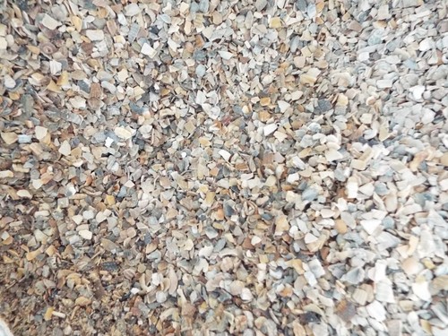 1kg muschelgrit - (eur,