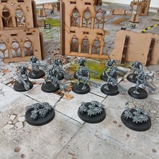 Necrons necron warriors - necrons,