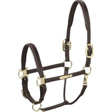 Eskadron Darkbrown VB Halfter