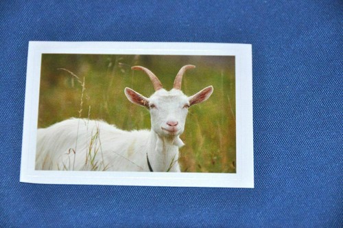 Rewe abenteuer tierwelt - abenteuer,