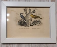 1852 Lithographie Kunstdruck